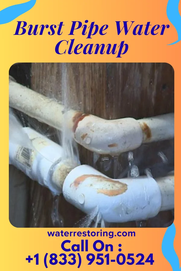 Burst Pipe Water Cleanup in Hurdland, MO