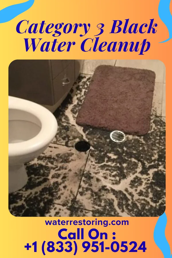 Category 3 Black Water Cleanup in Hurdland, MO