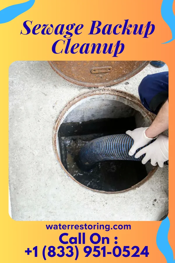 Sewage Backup Cleanup in Hurdland, MO