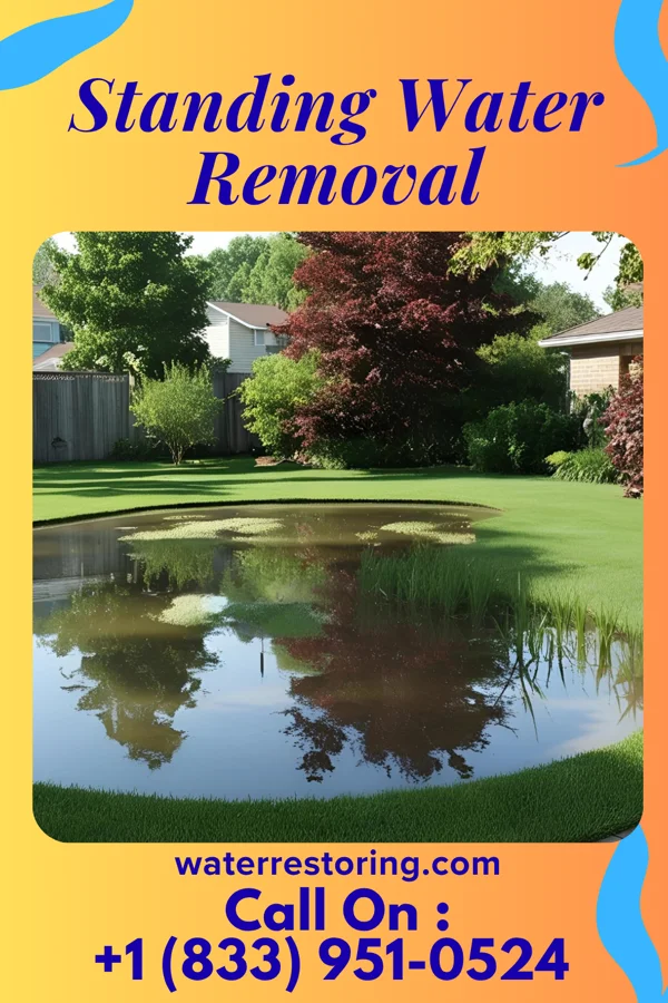 Standing Water Removal in Hurdland, MO